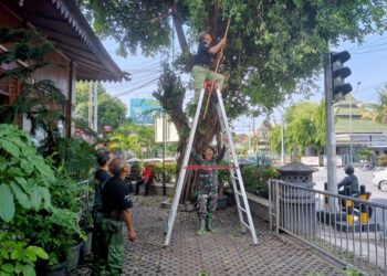 Gandeng Tim Saberling Dan Staf Kelurahan, Babinsa Ketelan Laksanakan Kerja Pembersihkan Lingkungan