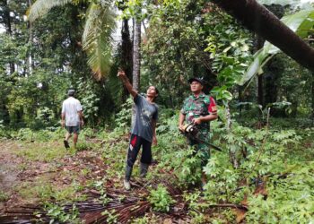 Babinsa Pantau Kondisi Jembatan Ambruk di Jalan Merdeka Duku Kasang, Korong Bintungan