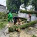 Babinsa Koramil 01/Pariaman Tinjau dan Bantu Penanganan Pohon Tumbang di Kelurahan Taratak
