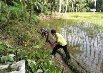 Jaga Kelancaran Pasokan Air, Babinsa Plandirejo Dan Warga Turun Tangan Bersihkan Irigasi