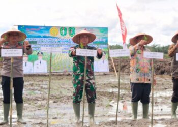 Gema Membangun Desa Mendukung Swasembada Pangan, Dandim 1209/Bengkayang Dampingi Tanam Padi CSR
