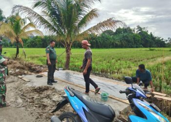 Cuaca Mendukung, Babinsa Dampingi Poktan di Babahrot Rampungkan Semenisasi Jembatan Sawah