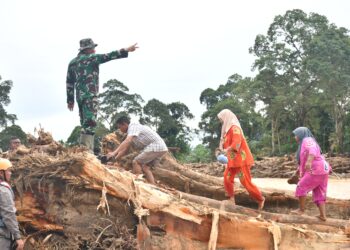 Kodam I/BB Bersama BNPB dan Relawan Bangun Jembatan Darurat untuk Warga Terisolir Banjir di Batang Toru