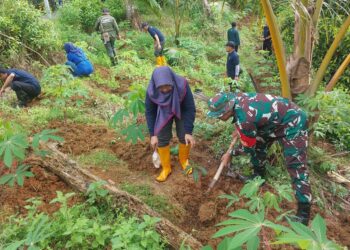 TNI–Pemda Trenggalek Hijaukan Kawasan Bukit Jatuh