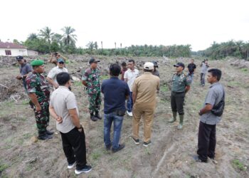 Dandim 0208 Asahan Tinjau Lokasi Ketahanan Pangan Tanam Padi Gogo Sistem Tumpang Sari PSR di Desa Bandar Pulau Pekan