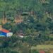 TNI Kembali Kirim Bantuan Dengan Metode Airdrop untuk Warga Terisolasi Akibat Banjir di Aceh Tamiang