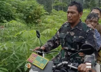 Aksi Anggota Babinsa Kodim 0108/Agara Selamatkan Santri Remaja Terseret Arus Sungai Kali Alas