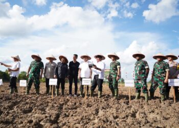Pangdam II/Sriwijaya dan Gubernur Sumsel Tanam Perdana Cetak Sawah Rakyat Di Musi Banyuasin
