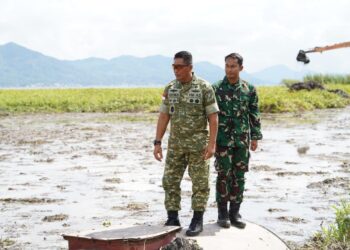Bentuk Dukungan Kodam XIII/Merdeka, Kasdam Pantau Progres Pengerjaan Pembersihan Danau Tondano