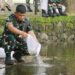 50.000 Benih Ikan Nila di Tebar Komandan Pasmar 2.