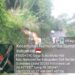 Babinsa Koramil 14/PB Kodim 0201/Medan Bersama Warga, Bersihkan Rumput Liar di Sepanjang Jalan Des