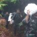Satgas Gulbencal Kodam I/BB Bersama Yonif TP 905/TS Berjalan Kaki Salurkan Logistik ke Desa Bonan Dolok