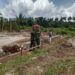 Dandim Bersama Danramil Turun Ke Lapangan Tinjau Lokasi Pembangunan KDKMP Nagari sunur