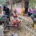 Prajurit Yonif TP 857/GG Bersihkan SD Negeri Tanjung Mancang, Wujud Nyata Peran TNI AD di Tengah Rakyat