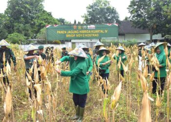 Ketahanan Pangan Brigif 9 Kostrad
