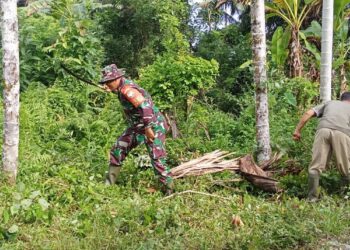 Bersihkan Lingkungan, Bainsa dan Warga di Babahrot Gotong Royong Cegah DBD
