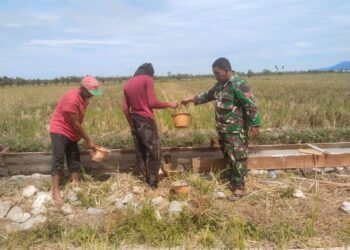 Babinsa Koramil Susoh Dampingi Petani Kejar Target Pembangunan Talut Pengairan