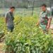 Babinsa Koramil Babahrot Ajak Warga Giat Tanam Pohon Cegah Banjir dan Longsor