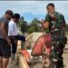 TNI dan Warga Gotong Royong Bangun Jembatan Darurat di Gayo Lues