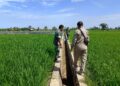 Dukung Kelancaran Pertanian, Babinsa dan PPL di Susoh Tinjau Sistem Pengairan Sawah