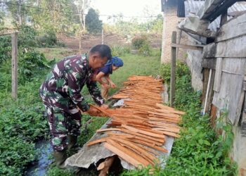 Babinsa Hadir Dengarkan Keluh Kesah Petani Kayu Manis di Pakpak Bharat