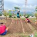 Ketahanan Pangan, Satgas Pamtas RI -RDTL Yonarhanud 2 Kostrad Sulap Lahan Tidur Jadi Sumber Pangan