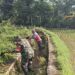 Bersihkan Saluran Irigasi Sawah, Sertu Yudha Gotong Royong Bersama Warga Desa Ngreco