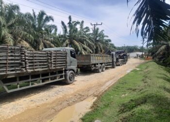 Satgas Gulbencal Yonzipur I/BB Mulai Pembangunan Jembatan Bailey di Desa Besilam Bukit Lembasa