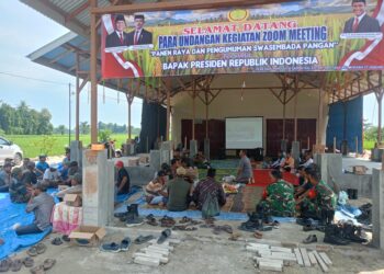 Babinsa Koramil 0201-16/TM Bersama Gapoktan dan BPP Ikuti Zoom Meeting Panen Raya dan Pengumuman Swasembada Pangan