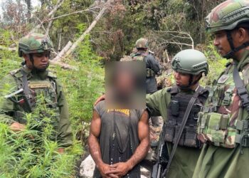 STOP Normalisasi Ganja, Mari Selamatkan Generasi Muda Pegunungan Bintang