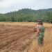 Dukung Peningkatan Produksi Pangan, Babinsa di Babahrot Dampingi Petani Bajak Lahan Holtikultura