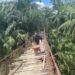 Satgas Kodim 0212/TS Bangun Jembatan Gantung Penghubung Antarwilayah di Kec. Halongonan, Paluta