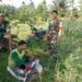 Peduli Petani,Babinsa Koramil 14/PB Komsos Dengan Petani Jagung