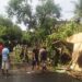 TNI–BPBD Sigap Evakuasi Pohon Tumbang di Sumberdadi Trenggalek
