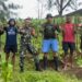 Kuatkan Ketahanan Pangan, Satgas Pamtas Yonarhanud 2 Kostrad Panen Sayuran dari Kebun di Makosatgas