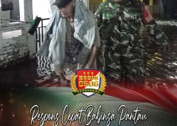 Respons Cepat Babinsa Pantau Genangan Air di Gembor Kota