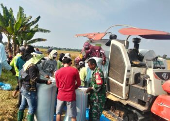 Kodim 0209/Labuhanbatu Dukung Ketahanan Pangan Nasional di Tanjung Mangedar