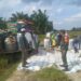 Kodim 0209/Labuhanbatu Dampingi Panen Padi Perdana di Kuala Bangka, Dukung Swasembada Pangan Nasional