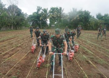 Pangdam XXIV/Mandala Trikora Dorong Prajurit Mandiri Pangan: Yonif TP 817/Aoba Jadi Contoh Ketahanan Pangan di Perbatasan