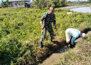 Babinsa di Susoh Bantu Petani Bersihkan Saluran Irigasi Sawah