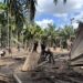 Koramil 20/PB dan Yon TP853/BRB Laksanakan Karya Bakti di Lokasi Bencana Banjir