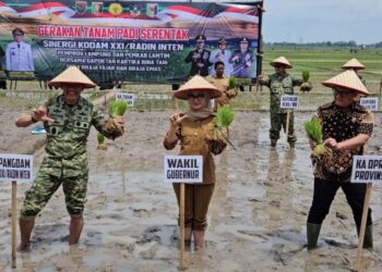 Dukung Program Ketahanan Pangan,Pangdam XXI/Radin Inten Bersama Pemprov Lampung Gerakan Tanam Padi Serentak