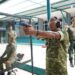 PANGDAM XV/PATTIMURA IKUTI PENDATAAN KEMAMPUAN PERWIRA TNI TA 2026