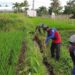 Guna Optimalkan Produksi Padi, Babinsa Dan Petani Resapombo Sinergi Bersihkan Lahan Pertanian