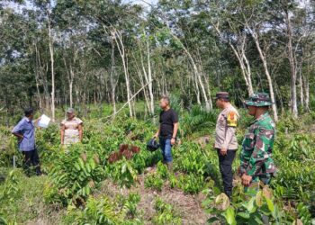 Koramil 12/LP Dampingi Penyelesaian Sengketa Batas Tanah Warga di Desa Hajoran