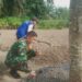 Memberikan Motivasi, Babinsa Dampingi Warga Binaan Dalam Pembibitan Pepaya