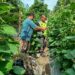 Sinergi Babinsa dan Petani Perkuat Ketahanan Pangan