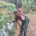 Babinsa Koramil 12/Sry Dampingi Petani, Wujudkan Panen Berkualitas
