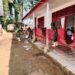 Pembersihan Sekolah Terdampak Banjir Susulan, Satgas Gulbencal Kodam I/BB Pulihkan SDN 153065 Lopian 2