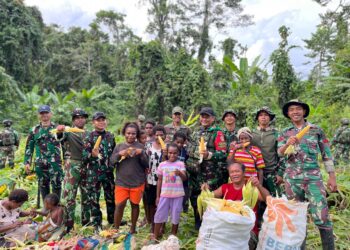 Dari Bibit Jadi Panen: Pos Selal Satgas Swasembada Yonif 751/VJS Petik Jagung Ketahanan Pangan Bersama Warga